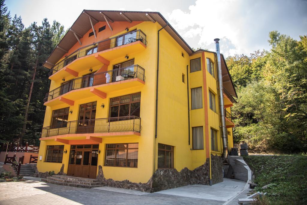 Hotel Trei Brazi Baile Olanesti Exterior foto